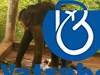 Gavi, Konni Elephant Cages